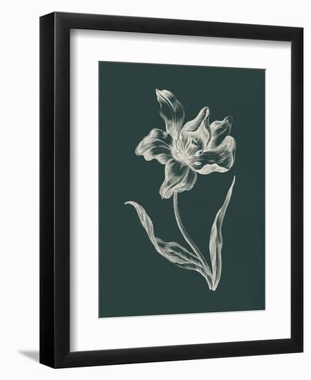 Eden Tulips I-Wild Apple Portfolio-Framed Art Print