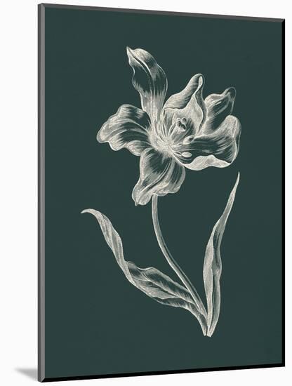 Eden Tulips I-Wild Apple Portfolio-Mounted Art Print