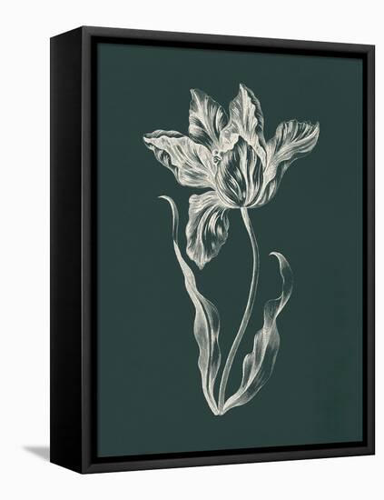 Eden Tulips II-Wild Apple Portfolio-Framed Stretched Canvas