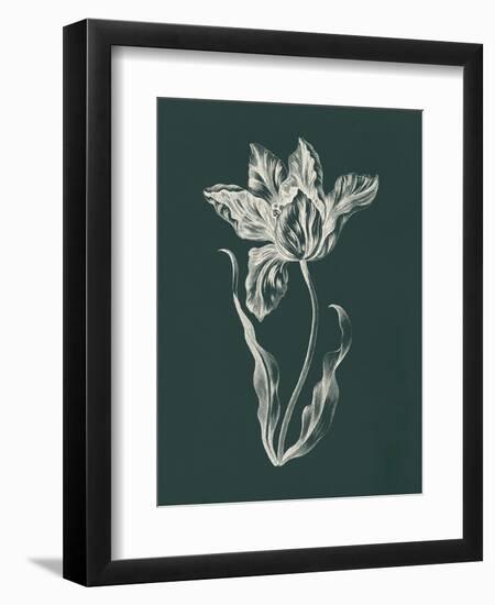 Eden Tulips II-Wild Apple Portfolio-Framed Art Print