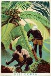 The Market Garden of the Tropics - Ceylon Tea-Edgar Ainsworth-Mounted Giclee Print