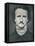 'Edgar Allan Poe', c1840, (1939)-Mathew Brady-Framed Premier Image Canvas