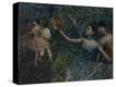 Stretched Canvas Print