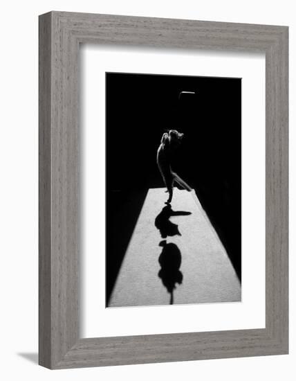 Edgar the Great II.-Jure Kravanja-Framed Photographic Print