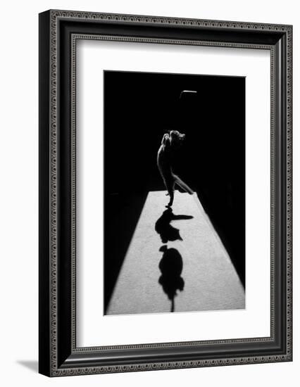 Edgar the Great II.-Jure Kravanja-Framed Photographic Print