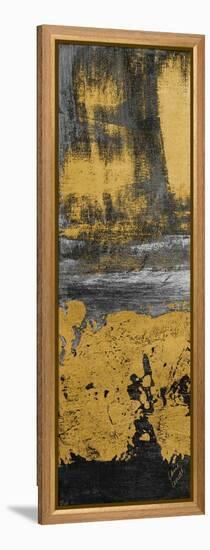 Edge of a Dream Panel I-Lanie Loreth-Framed Stretched Canvas