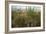 Edge of Field with Wildflowers-Paul Harcourt Davies-Framed Photographic Print