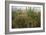 Edge of Field with Wildflowers-Paul Harcourt Davies-Framed Photographic Print