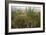 Edge of Field with Wildflowers-Paul Harcourt Davies-Framed Photographic Print