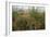 Edge of Field with Wildflowers-Paul Harcourt Davies-Framed Photographic Print