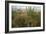 Edge of Field with Wildflowers-Paul Harcourt Davies-Framed Photographic Print