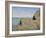 Edge of the Cliff, Pourville, 1882-Claude Monet-Framed Giclee Print