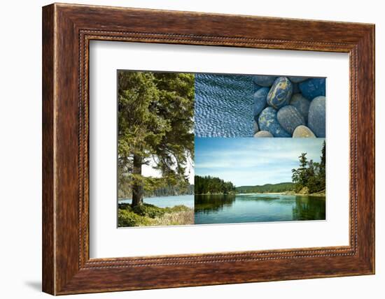 Edge Of The Forest II-Sidney Aver-Framed Art Print