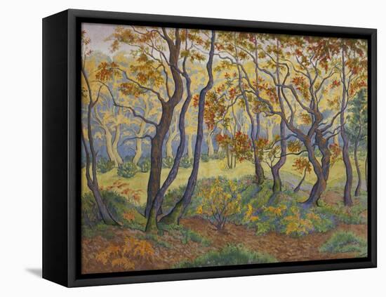 Edge of the Forest-Paul Ranson-Framed Premier Image Canvas