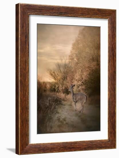 Edge of the Forest-Jai Johnson-Framed Giclee Print