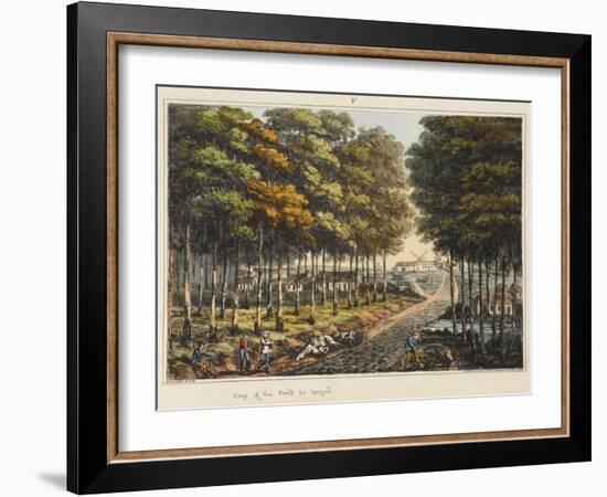 Edge of the Foret De Soignes-James Rouse-Framed Giclee Print