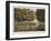 Edge of the Foret De Soignes-James Rouse-Framed Giclee Print