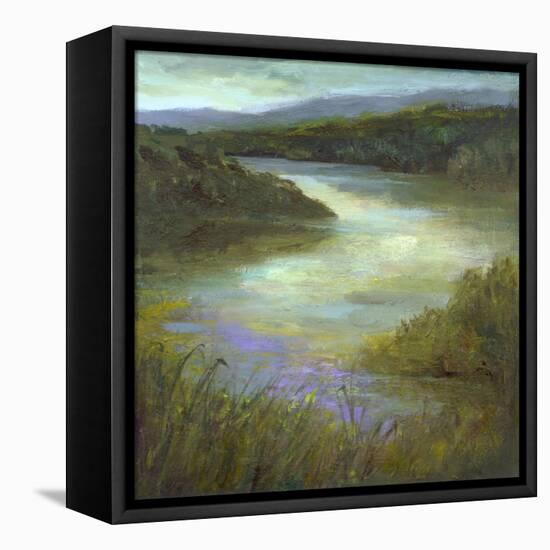 Edge of the Lake-Sheila Finch-Framed Stretched Canvas