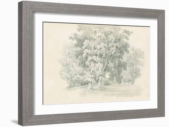 Edge of the Woods Sketch-Wild Apple Portfolio-Framed Art Print