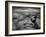 Edge of Time-Irene Suchocki-Framed Photographic Print