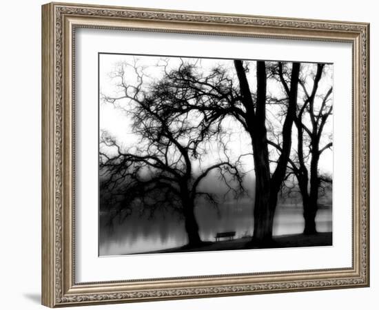 Edgebuzz-Sharon Wish-Framed Photographic Print