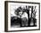 Edgebuzz-Sharon Wish-Framed Photographic Print