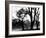 Edgebuzz-Sharon Wish-Framed Photographic Print