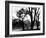 Edgebuzz-Sharon Wish-Framed Photographic Print