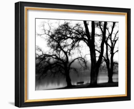 Edgebuzz-Sharon Wish-Framed Photographic Print