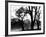 Edgebuzz-Sharon Wish-Framed Photographic Print