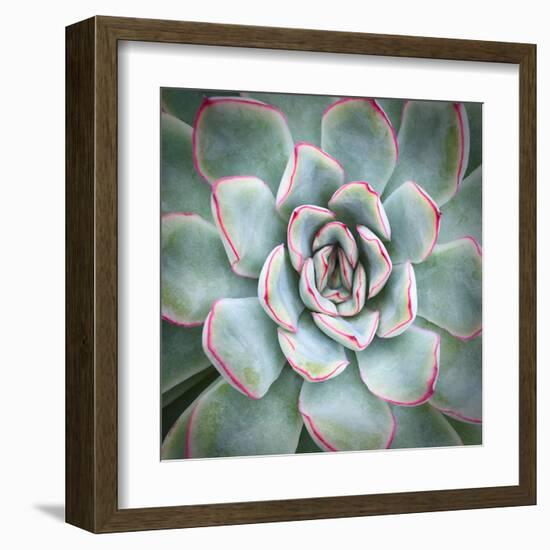 Edged in Red-Jan Bell-Framed Art Print