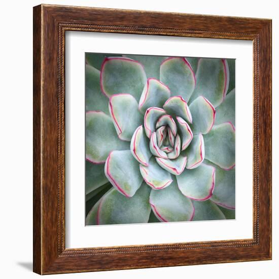 Edged in Red-Jan Bell-Framed Art Print