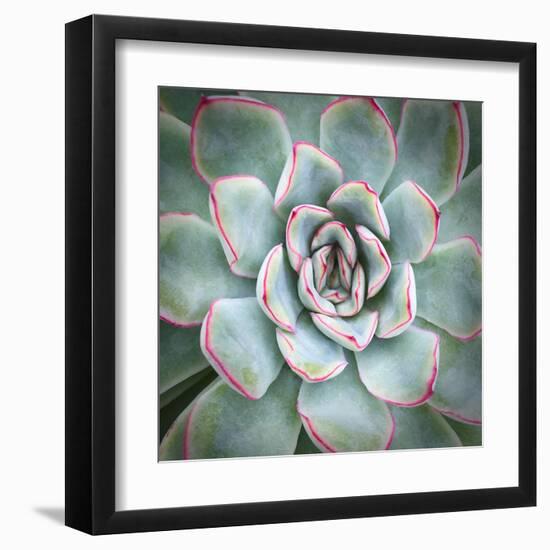 Edged in Red-Jan Bell-Framed Art Print