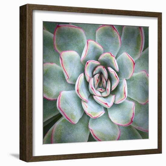 Edged in Red-Jan Bell-Framed Art Print