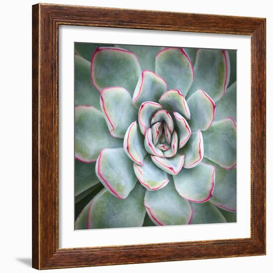 Edged in Red-Jan Bell-Framed Art Print