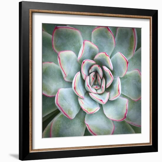 Edged in Red-Jan Bell-Framed Art Print