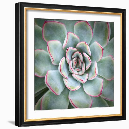 Edged in Red-Jan Bell-Framed Art Print