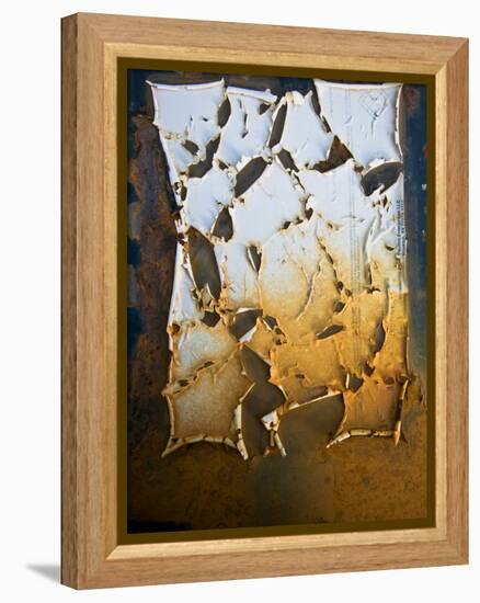 Edgefish-Craig Satterlee-Framed Premier Image Canvas