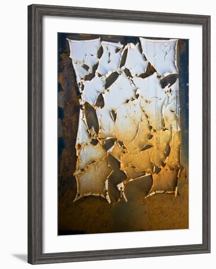 Edgefish-Craig Satterlee-Framed Photographic Print