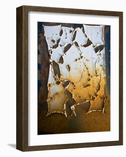 Edgefish-Craig Satterlee-Framed Photographic Print