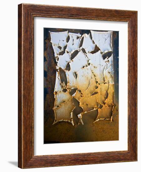 Edgefish-Craig Satterlee-Framed Photographic Print