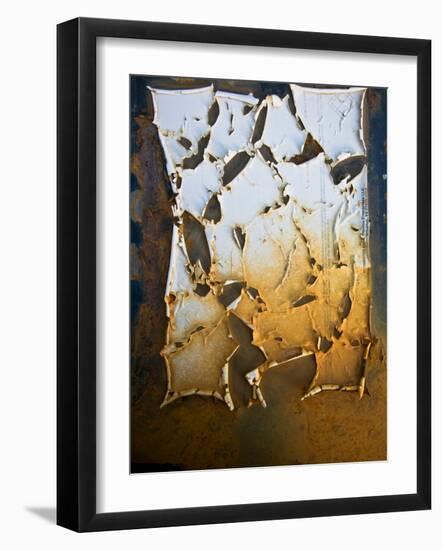 Edgefish-Craig Satterlee-Framed Photographic Print