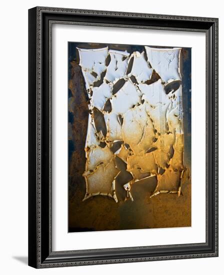 Edgefish-Craig Satterlee-Framed Photographic Print