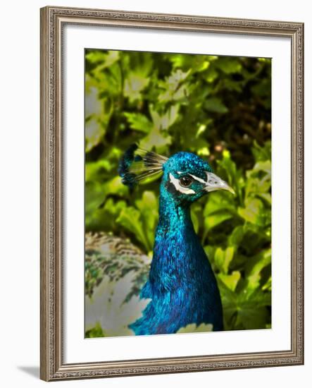 Edgelist-Tim Kahane-Framed Photographic Print