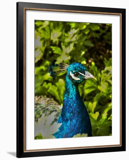 Edgelist-Tim Kahane-Framed Photographic Print