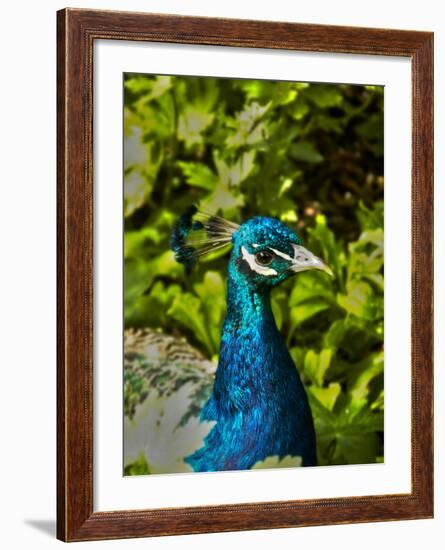 Edgelist-Tim Kahane-Framed Photographic Print