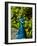 Edgelist-Tim Kahane-Framed Photographic Print