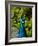 Edgelist-Tim Kahane-Framed Photographic Print