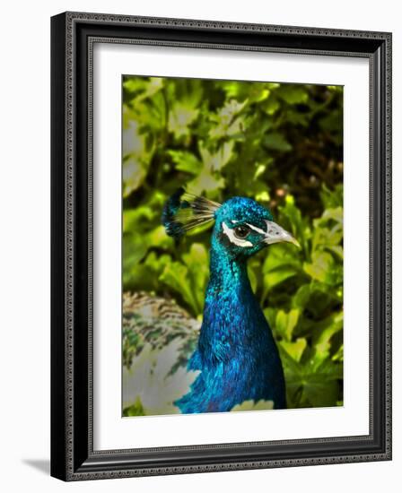 Edgelist-Tim Kahane-Framed Photographic Print