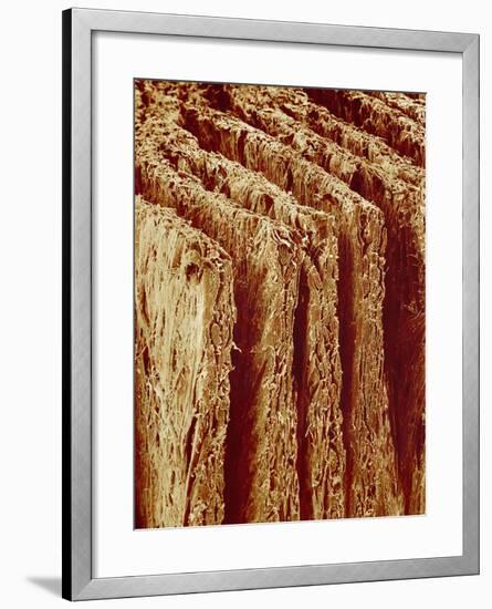 Edges of Book Pages-Micro Discovery-Framed Photographic Print